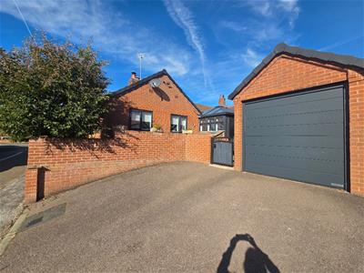 Picture 20